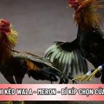 Kỹ thuật soi kèo Wala - Meron